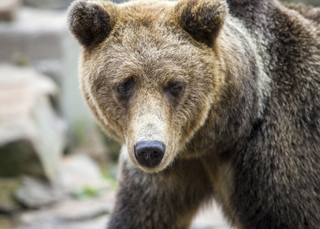 the person you dialed is not able to receive calls at this time