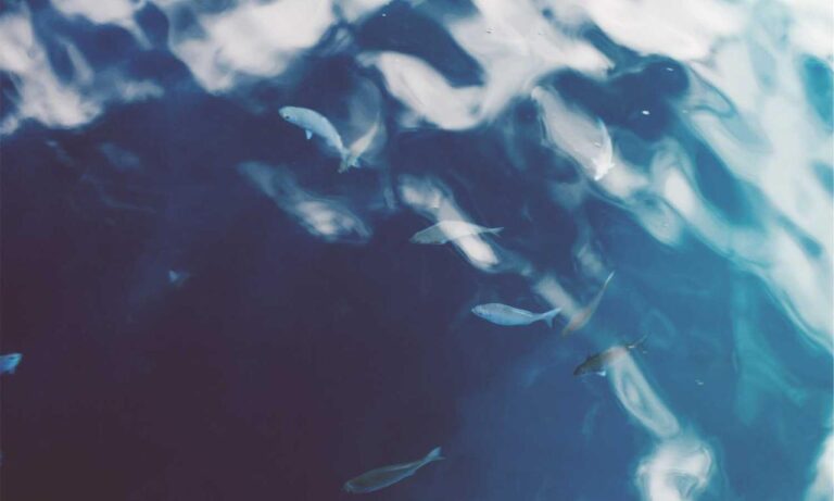 codes 8tshare6a python