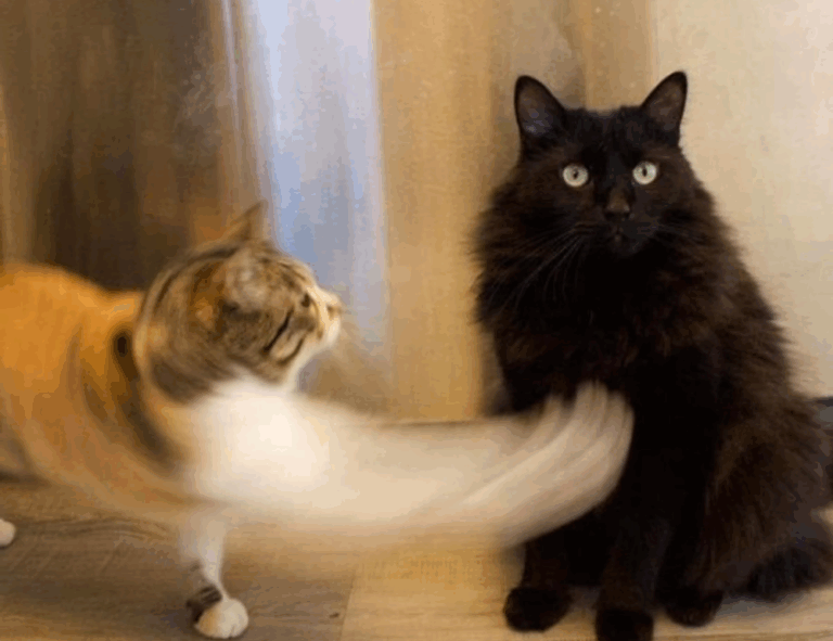 graphic design ideas generator gfxdigitational