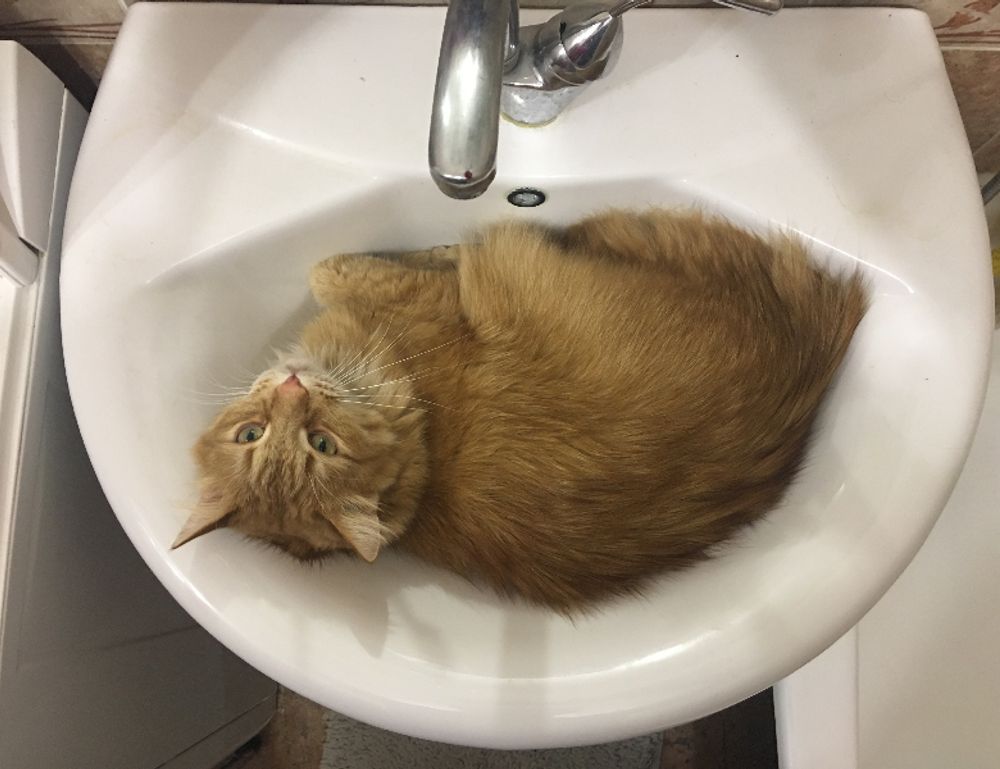 how to run genboostermark software