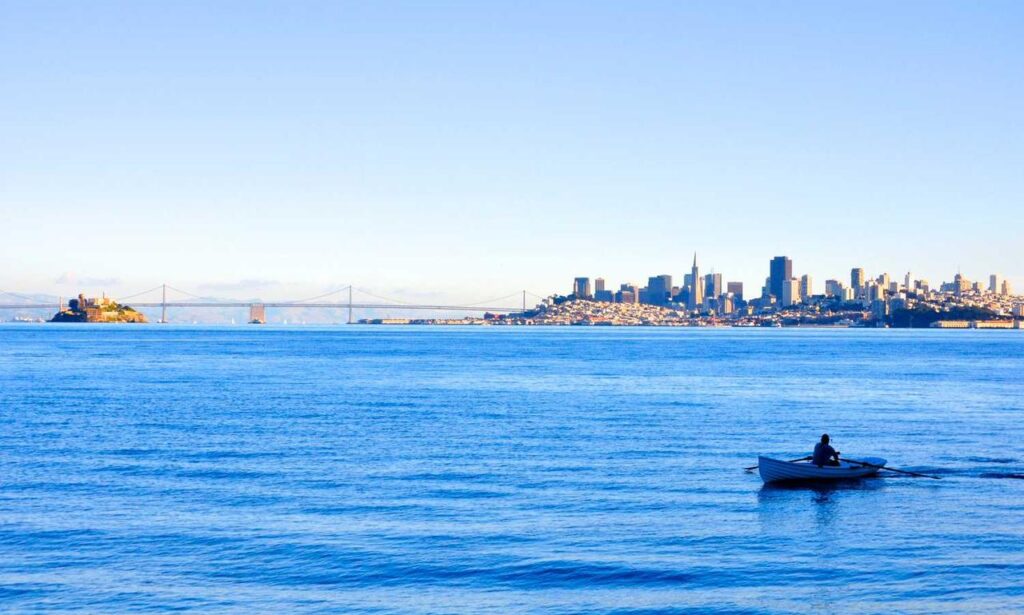 software 8tshare6a python