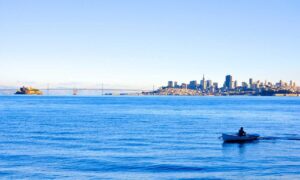 software 8tshare6a python