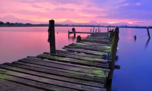 what is 8tshare6a python code