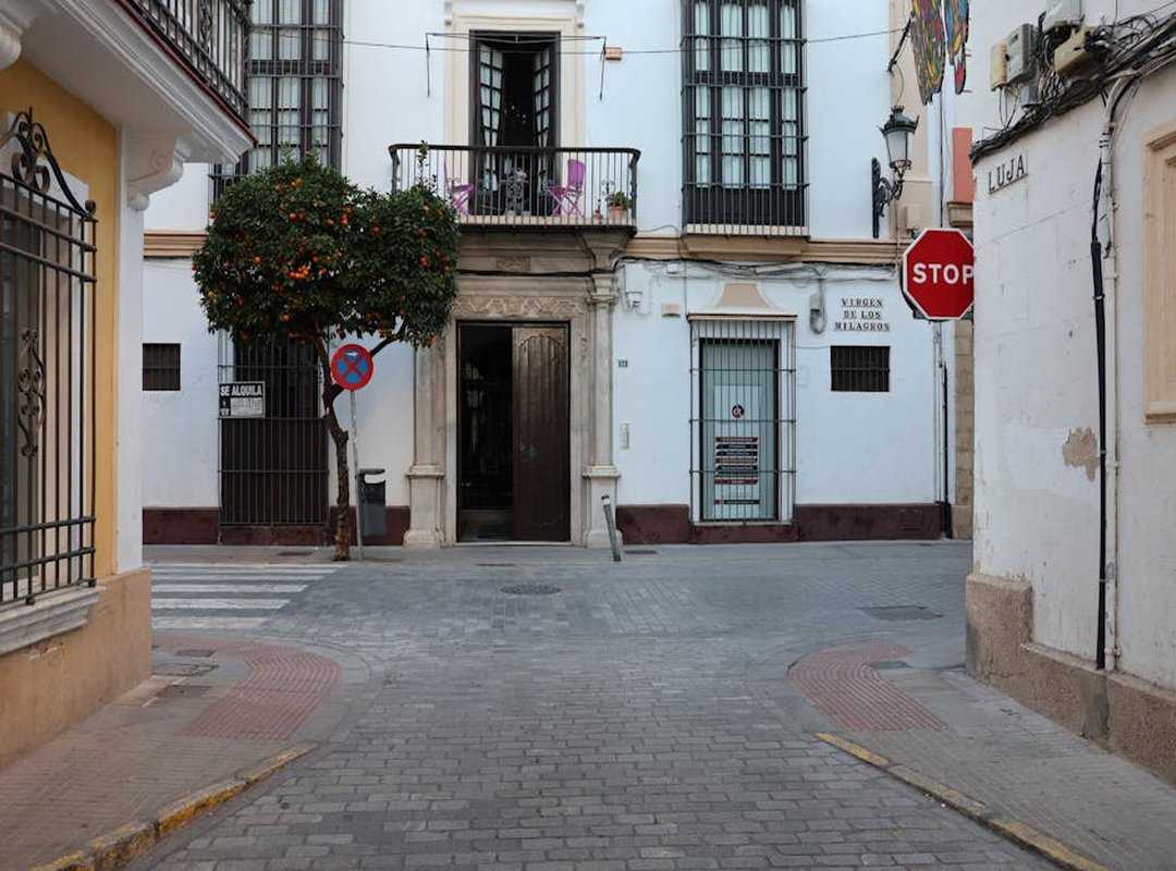 Cuando el Plan se Desmorona: Un Estornudo de Harina