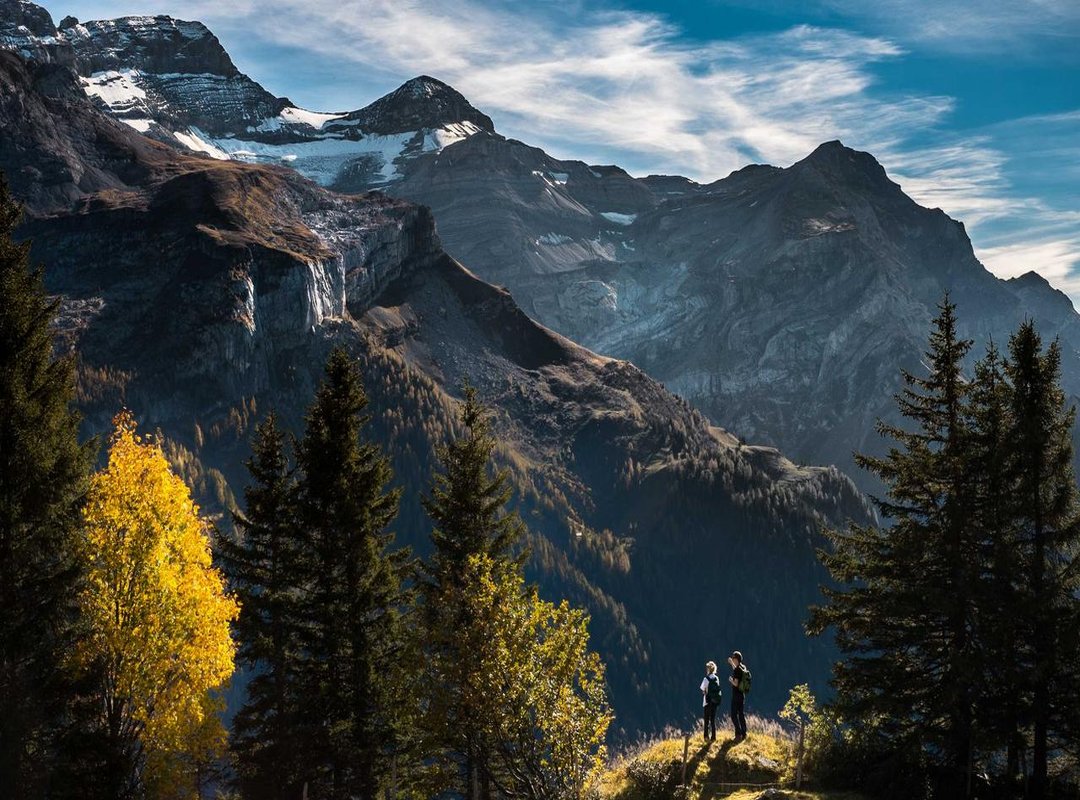 Frequently Asked Questions (FAQs)