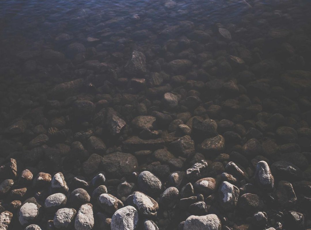 Beyond the Match: Finding Documentaries and Features