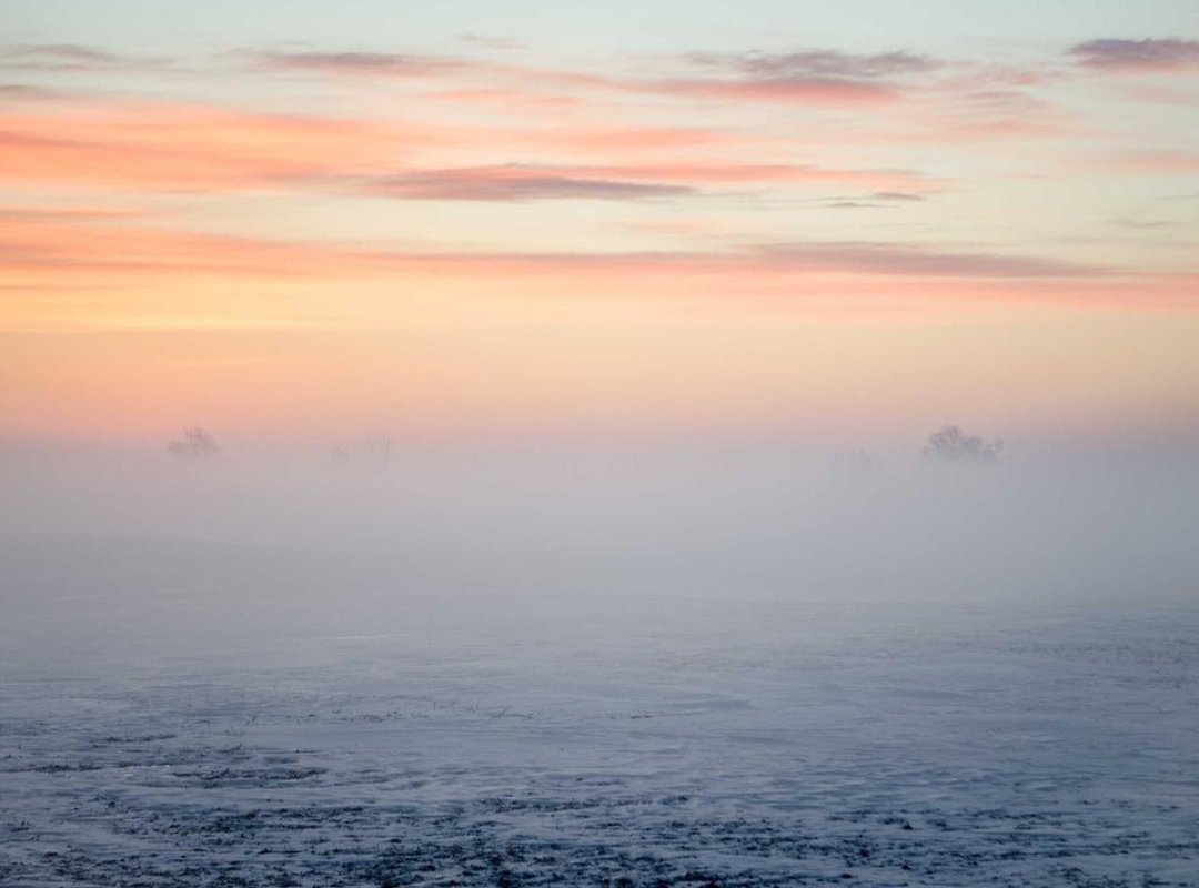 How to Master the Blurred & Hidden Face Look: A Step-by-Step Guide