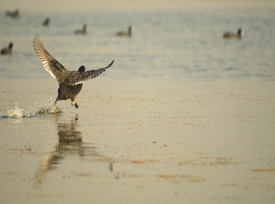 Common Scenarios in Dreams About Ex-Spouses