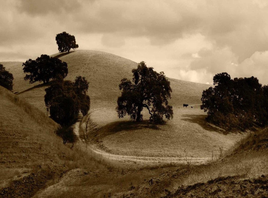 A Crucial Reminder: Where to Find Help and Support