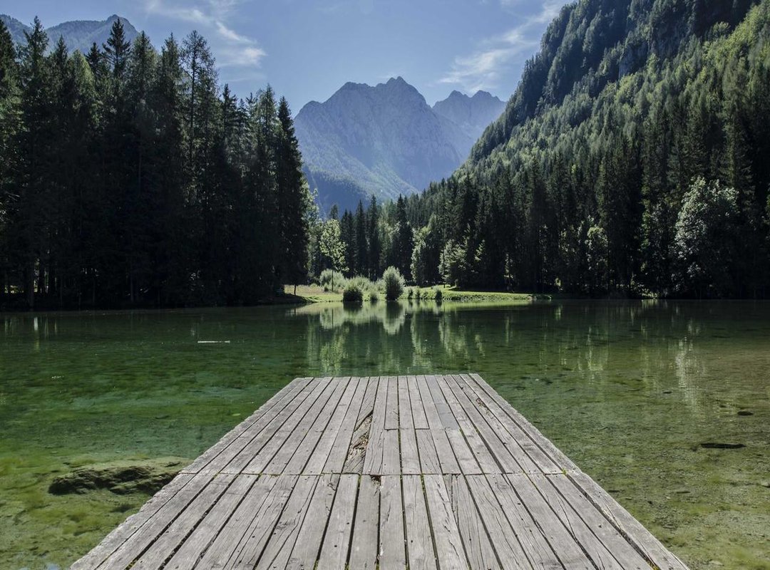 More Than a Partner: Sophia's Career and Passions