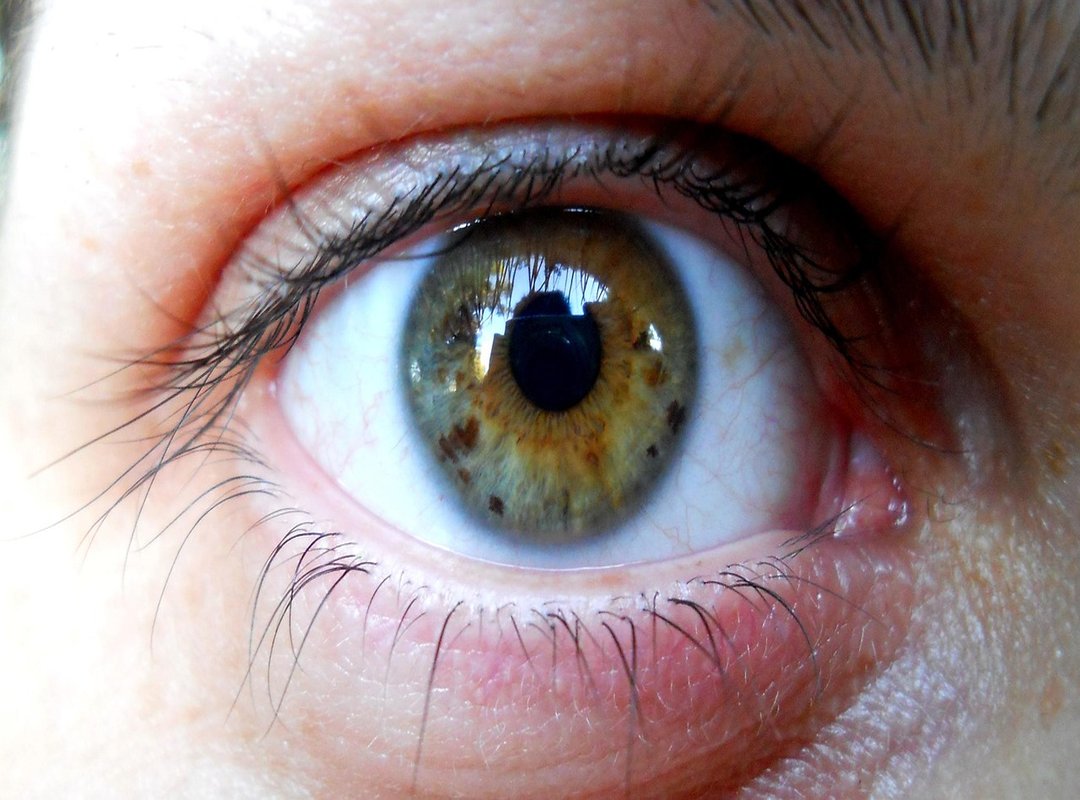 Kirara's Role and Cursed Technique in the Story