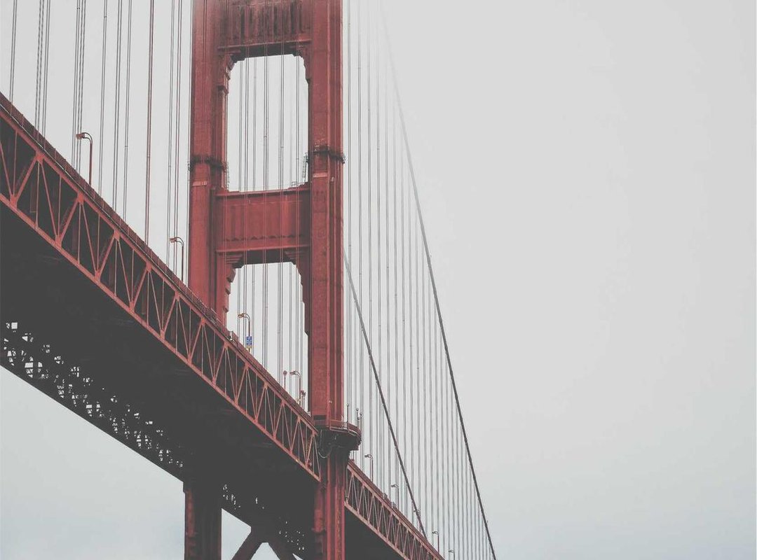 A Closer Look at the Design: Key Features and Elements