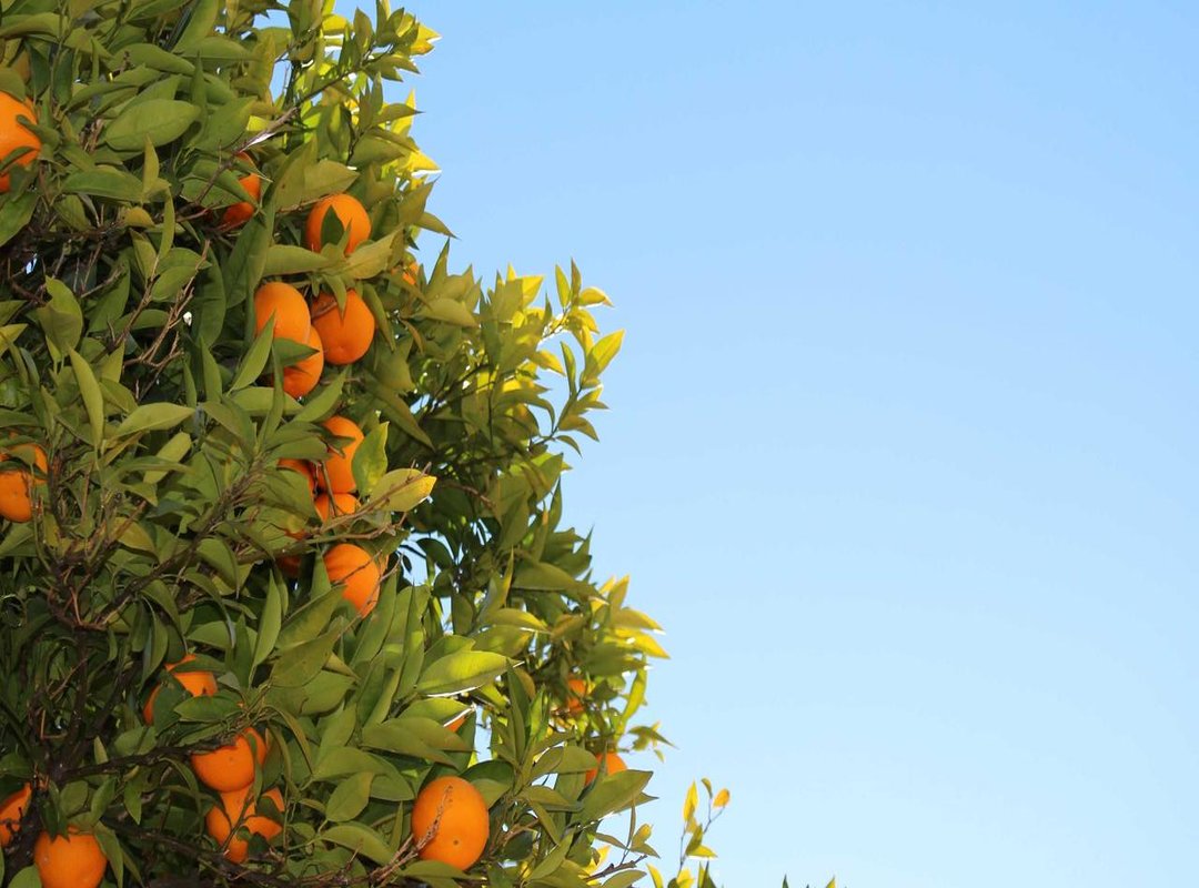 An Empire by the Numbers: The Unbelievable Profits of 'Blow'