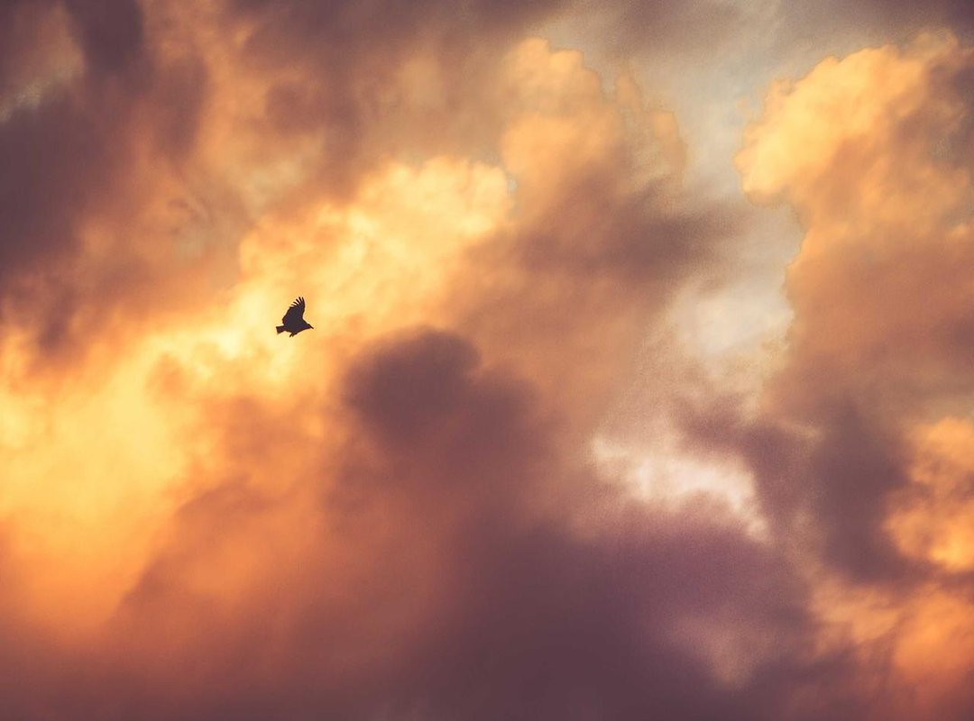 Common Beginner Mistakes (And How to Easily Fix Them)