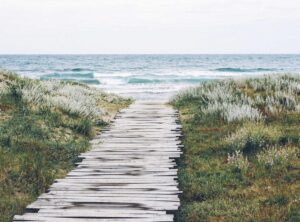 tmohebtai